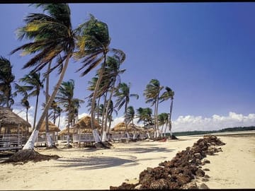 Explore Marajó Island: 2-Day Cultural and Nature Tour
