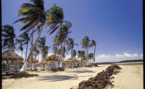 Explore Marajó Island: 2-Day Cultural and Nature Tour