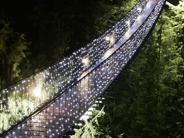 Capilano Canyon and Grouse Mountain Holiday Tour in Vancouver