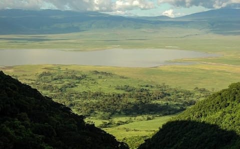 Luxury 6-Day Safari Adventure in Northern Tanzania