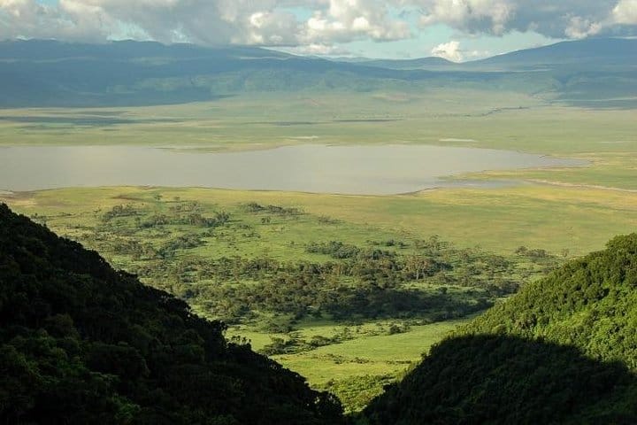 Ngorongoro