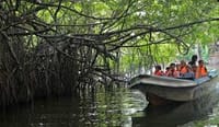 03 Day Tour From  Colombo ( Without Accommodation)  1