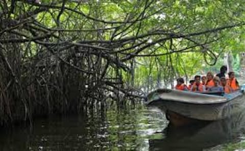 3-Day Adventure Tour of Colombo's Culture and Landscapes