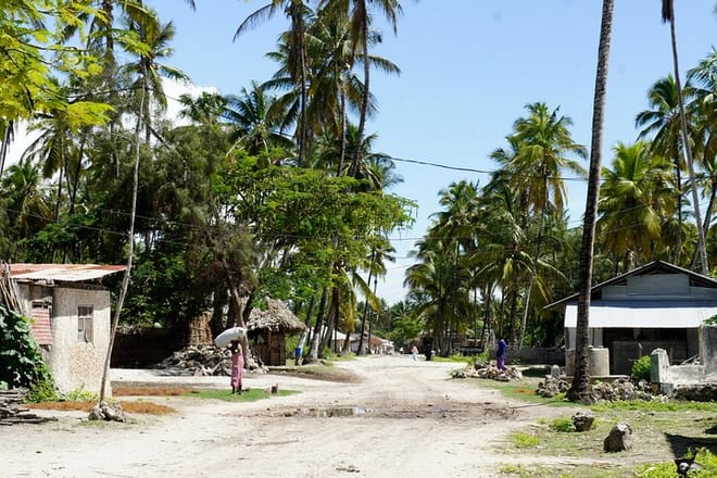 Jambiani Village Tour photo 4