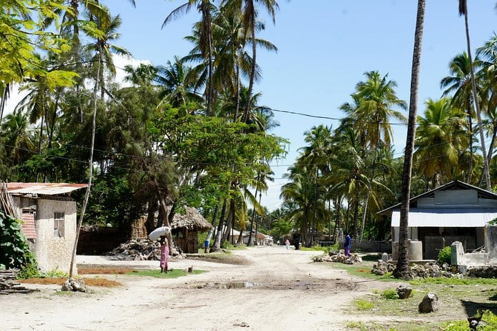 Jambiani Village Tour 4