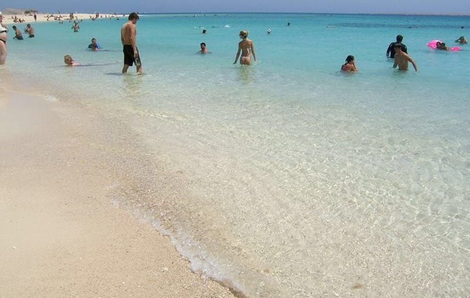 Snorkeling with Turtles at Abu Dabab Bay from Hurghada