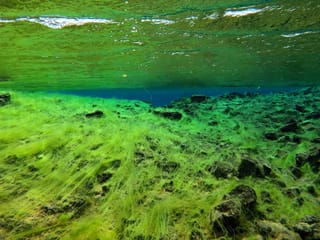 Silfra night freedive tour, photo 13