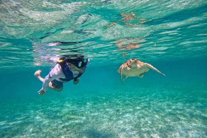 Santuario de tortugas Akumal Snorkel Experiencia marina