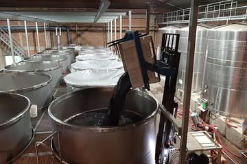 Private Maipo Valley Wine Experience from Santiago