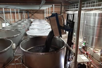 Private Maipo Valley Wine Experience from Santiago