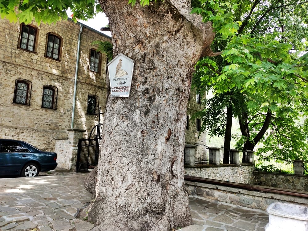 Bachkovo Town & Monastery Self-Guided Tour 7