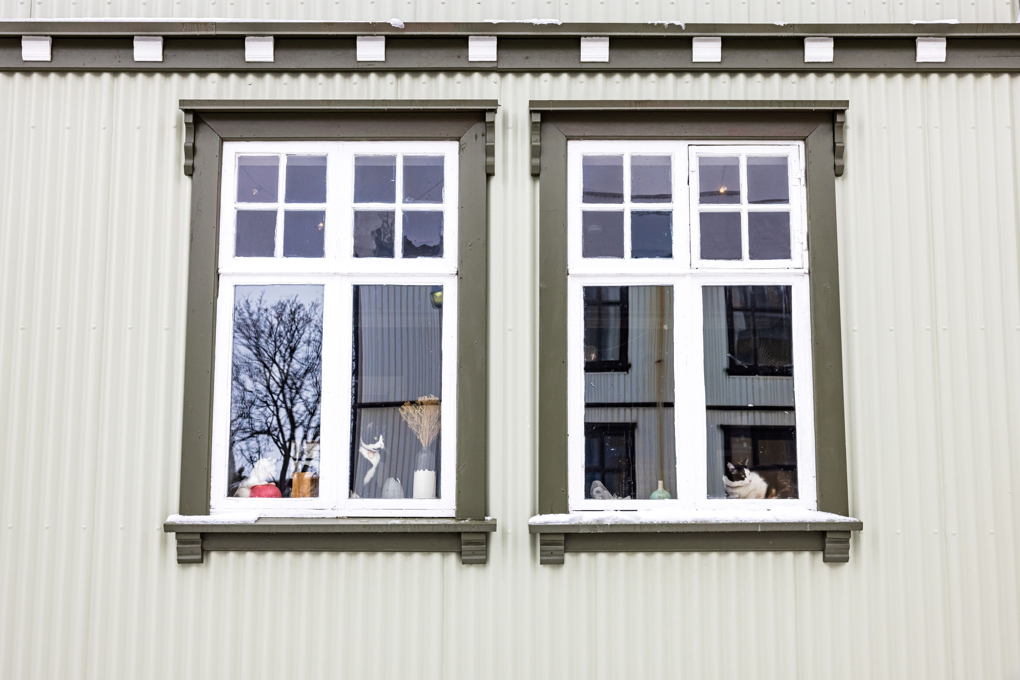 Another look at the cat-cafe from outside