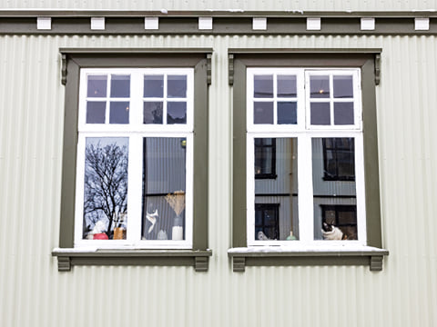 Another look at the cat-cafe from outside