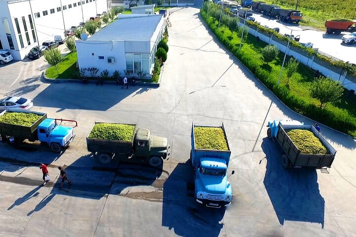Shared Transfer from Signagi to Tbilisi 4