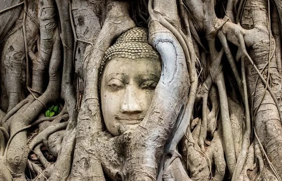 Day Tour of Ayutthaya and Bang Pa-In