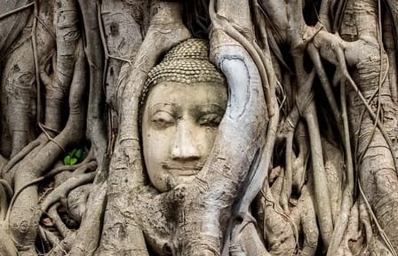 Ayutthaya and Bang Pa-In Day Tour from Bangkok