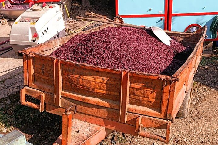 PRIVATE TOUR: Pisa & Siena in one day with Wine tasting & Lunch in Chianti