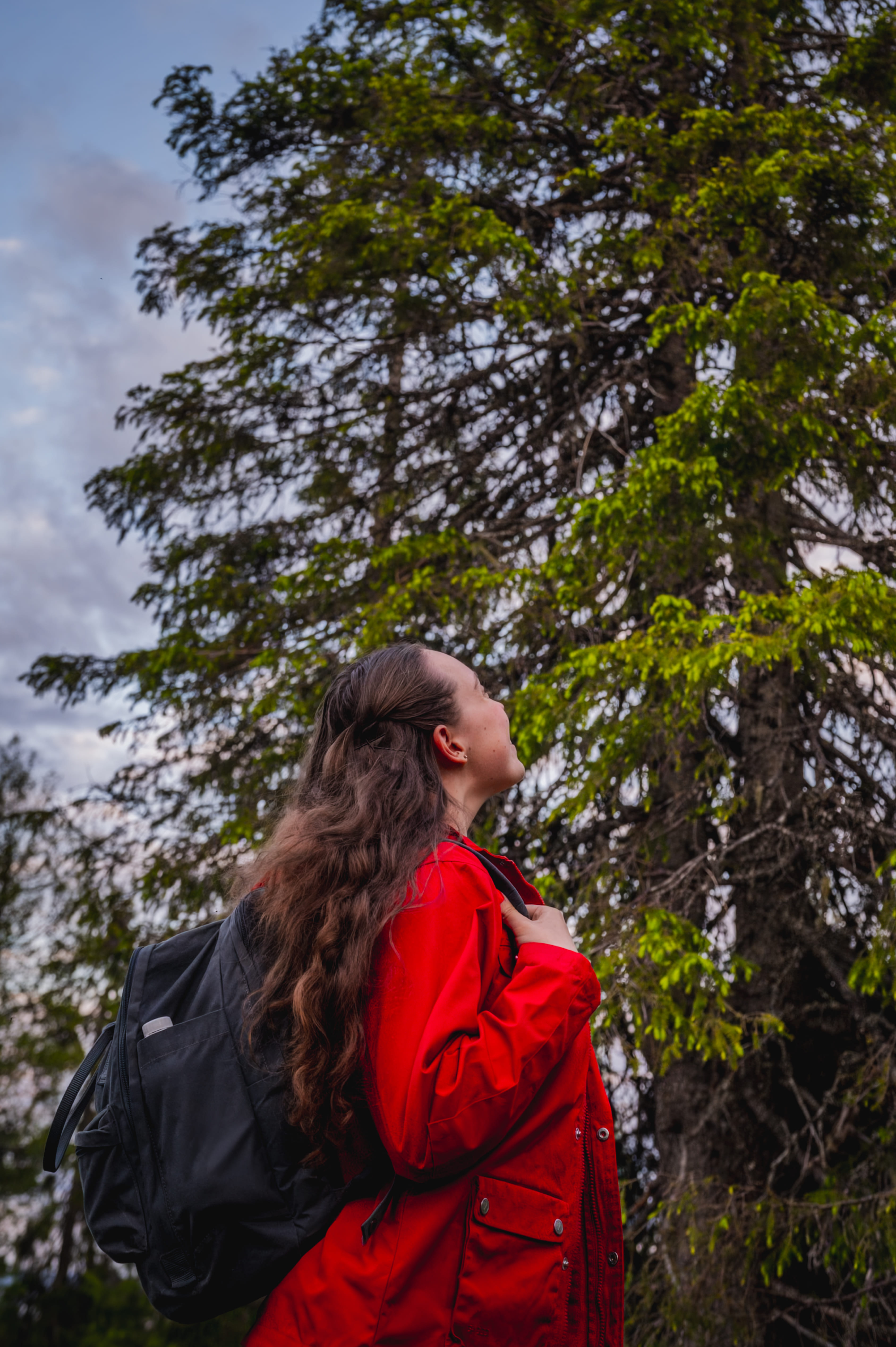 Korouoma Canyon summer hike from Rovaniemi