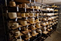From Tbilisi: Ultimate Foodie Experience wine & cheese in Telavi 7