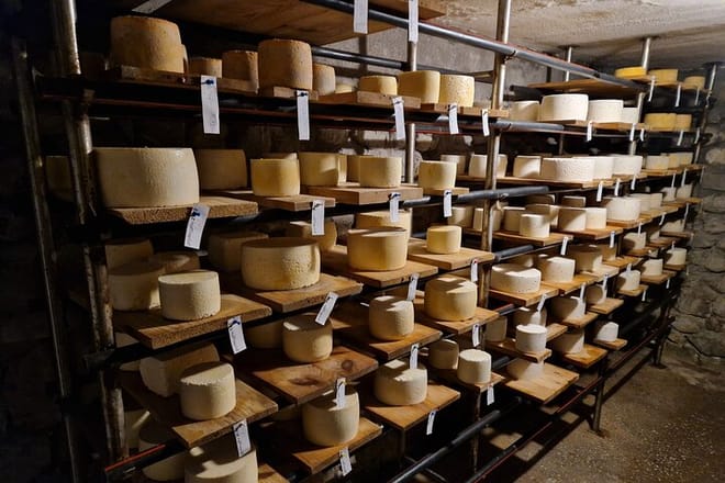 From Tbilisi: Ultimate Foodie Experience wine & cheese in Telavi 7
