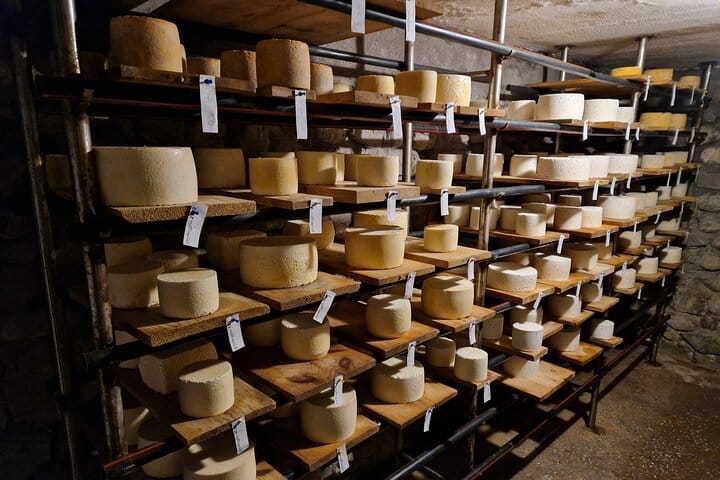 From Tbilisi: Ultimate Foodie Experience wine & cheese in Telavi 7