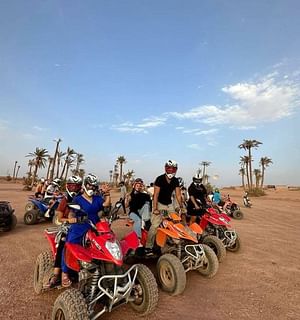 Marrakech: 2-hour quad bike ride in the palm grove