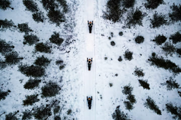 Private 2.5-Hour Snowmobile Safari in Kemijärvi, Finland