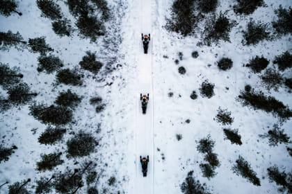 Private snowmobile safari 2,5 h