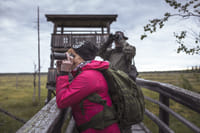 Bird watching, Nature & Wildlife 1