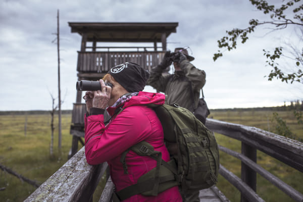 Things to do in Lapland