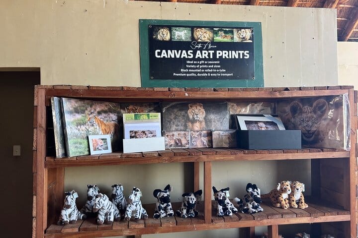 Giraffe Encounter and Lion Park with Wine Tasting in Stellenbosch