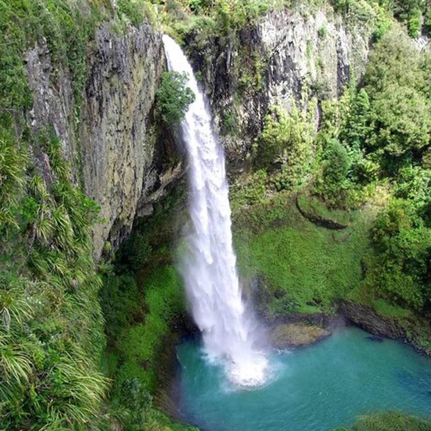 Raglan New Zealand Adventure Tour from Auckland