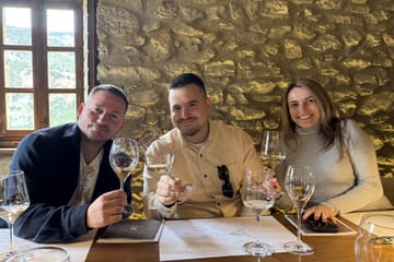 Private Full-Day Tour of Mycenae, Nafplion, and Winery