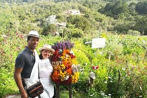Santa Elena trip: Silleteros and Flower Farm Cultural Tour