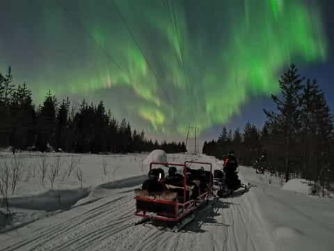 Northern Lights Sledge Ride by Snowmobile