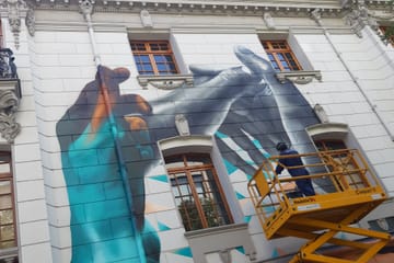 Private half day city tour