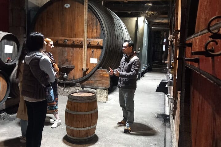 DOURO VALLEY & AMARANTE: Scenic or Wine Experience Private Tour