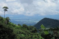 Full-Day Advanced XC Downhill Biking at Doi Suthep National Park Chiang Mai 10