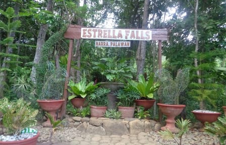 Private Day Tour to Estrella Falls from Puerto Princesa