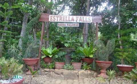 Private Day Tour to Estrella Falls from Puerto Princesa