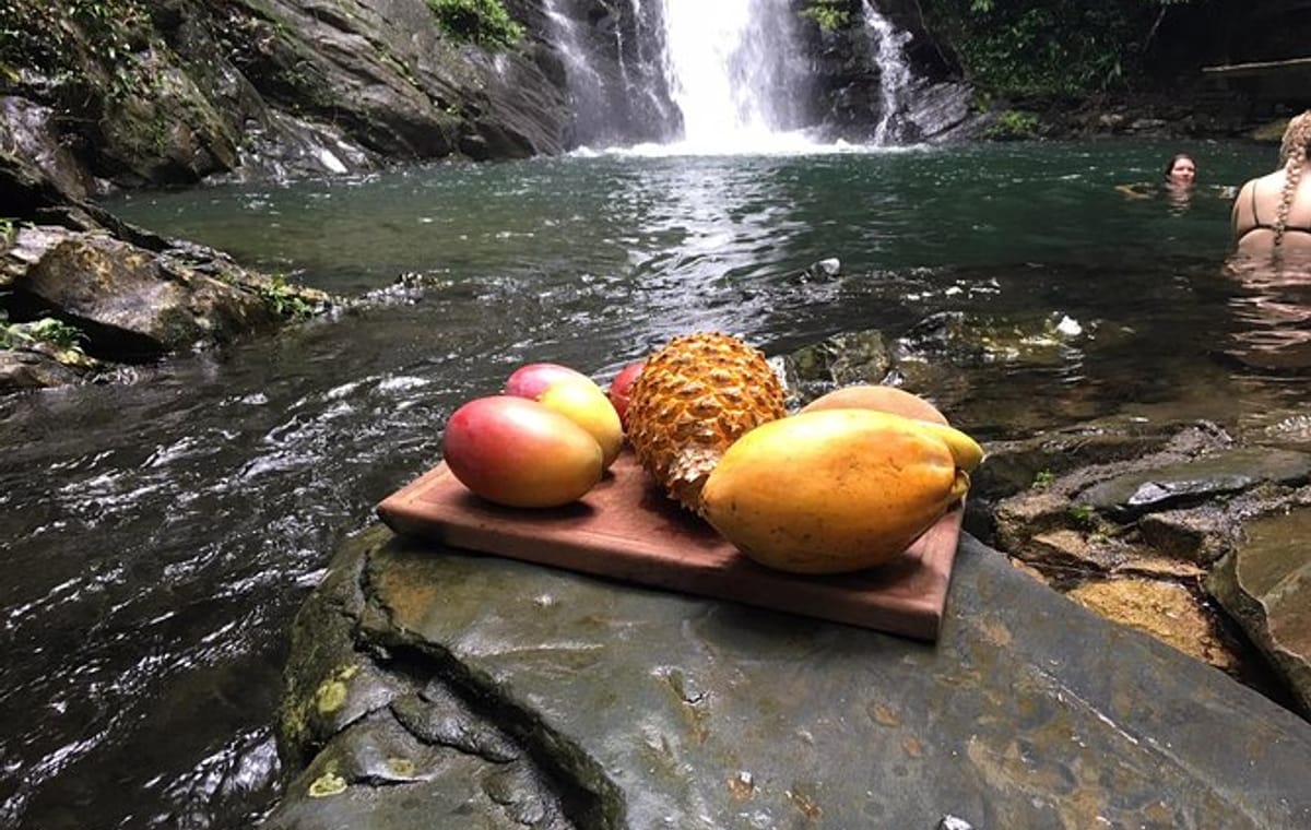 T2C-Into the rainforest: Discover a Belize waterfall