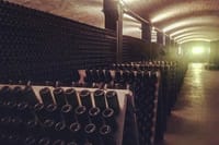 Vineyard tour