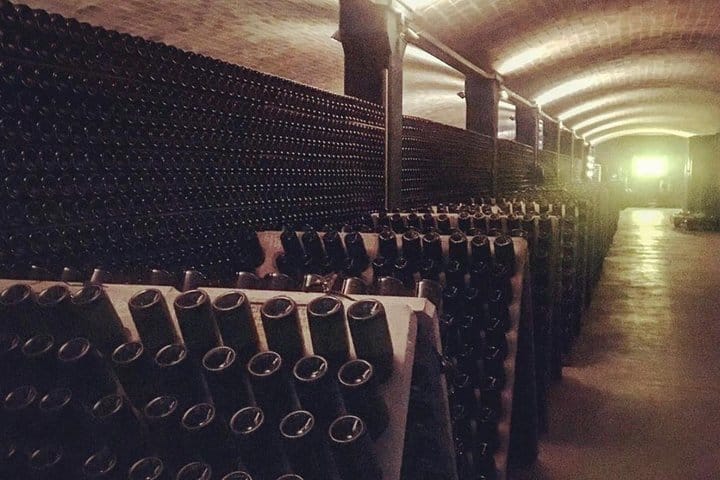 Vineyard tour