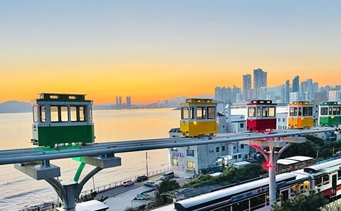 Private Busan City Tour: Discover Hidden Gems with a Local Guide
