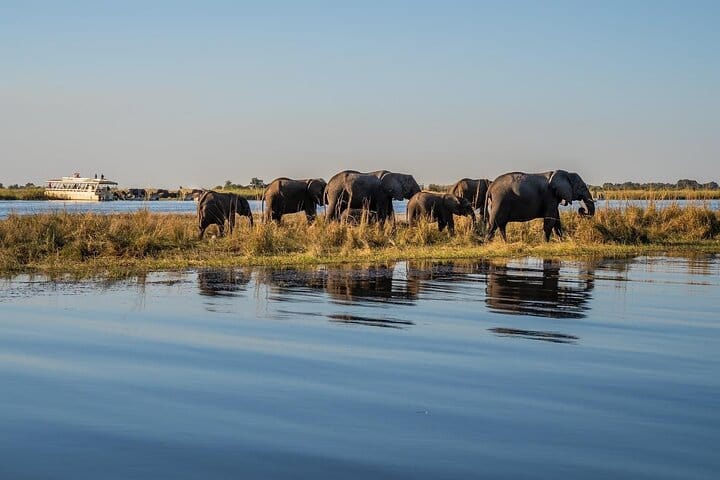 2-Day Wilderness Adventure: Overnight Camping in Chobe Park