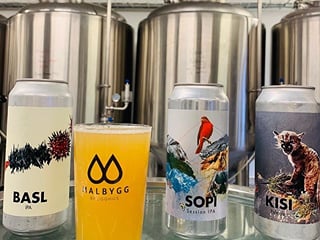 The Reykjavik Microbrewery & Distillery Tour, photo 8