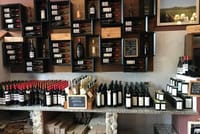 Exclusive Private Bolgheri Experience from Florence: The Land of the Super Tuscan 3