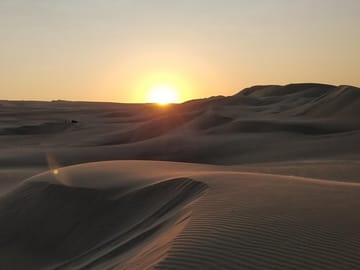 Sunrise Desert Safari, Camel Ride, Dune Bashing, Inland Sea By Falcon Tours