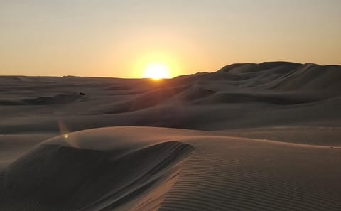 Sunrise Desert Safari with Camel Ride in Doha, Qatar