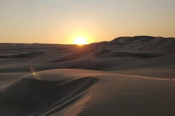 Sunrise Desert Safari with Camel Ride in Doha, Qatar